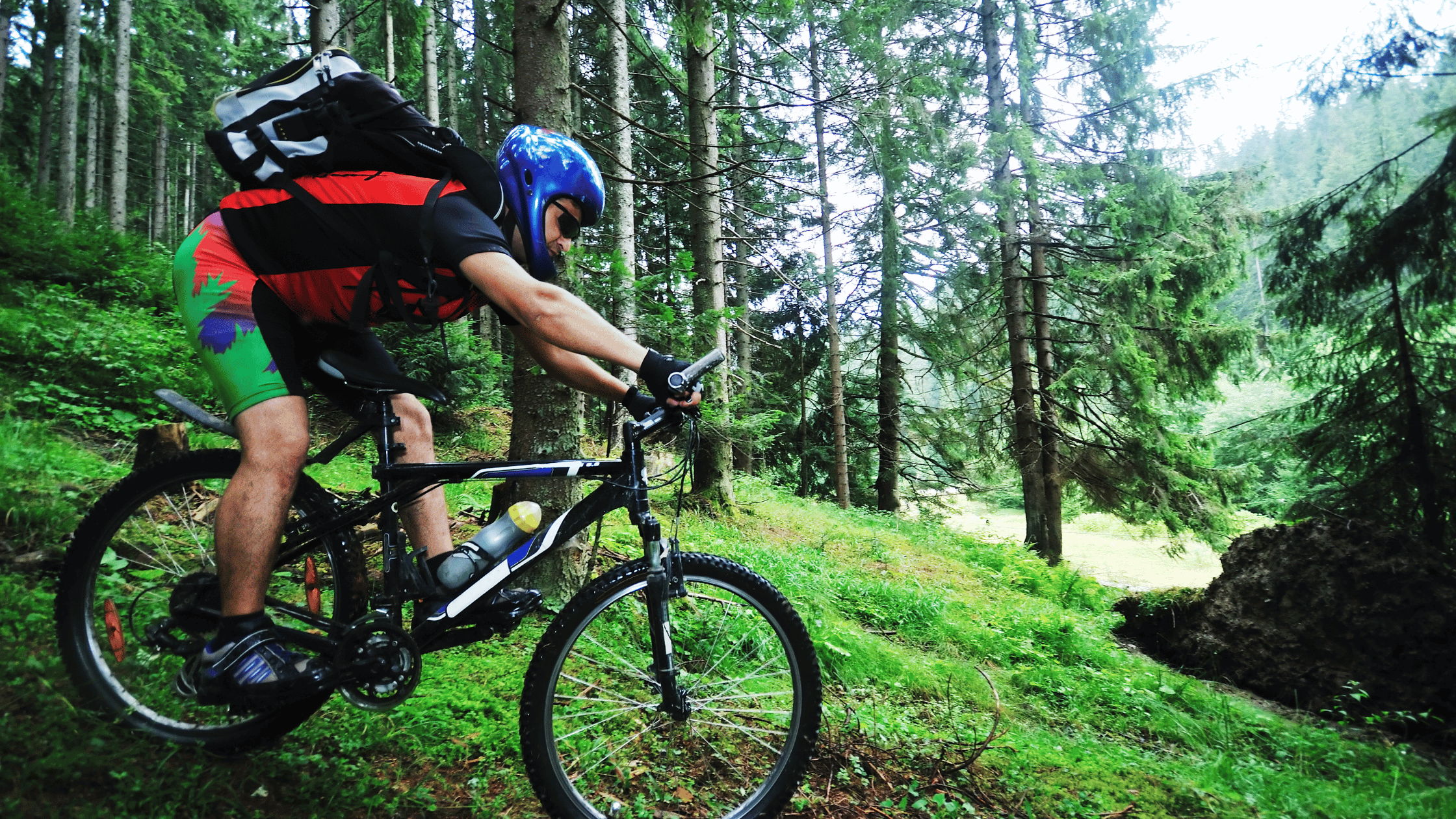 Percorsi da fare in bici