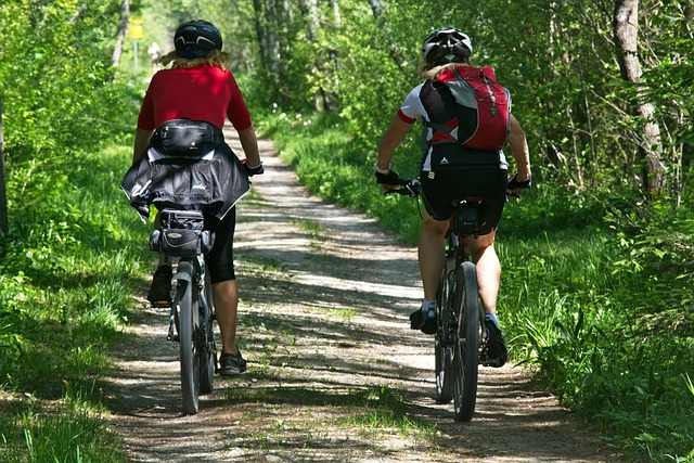 Esplora in Sella: I Top Tour Guidati in Bicicletta per Ogni Avventuriero